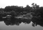 Huangdi Emperor Residence Xinggong Steles Forest